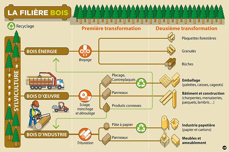 Le bois-énergie issu de forêts : les plaquettes forestières